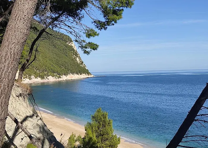 Passione Marinara-comodo Al Mare E Ai Servizi * Numana